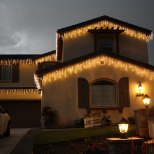 Photo of Delights of Christmas