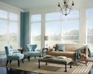 Photo of Blinds Pros