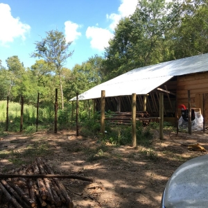 Photo of PB Construction and Handyman Services