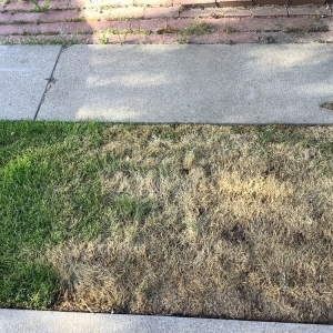 Photo of Bushman Landscaping