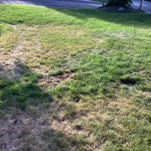 Photo of Bushman Landscaping