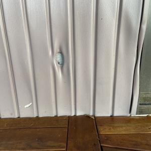 Photo of Deck Renew & Power Washing
