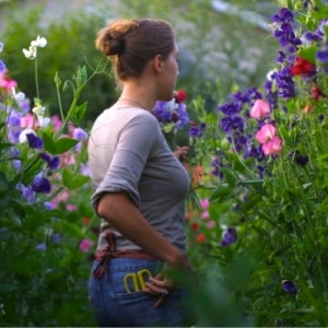 Photo of King Garden Designs