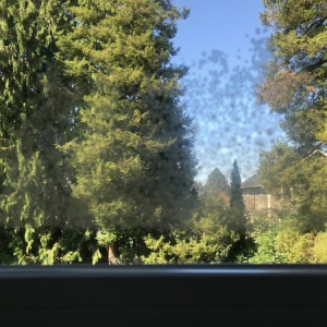 Photo of Milgard Windows & Doors