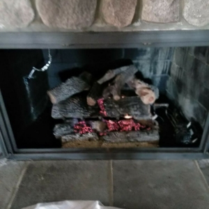 Photo of Professional Chimney Service of Michigan
