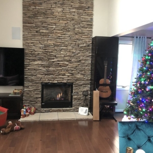 Photo of Professional Chimney Service of Michigan