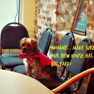 Photo of West Town Realty