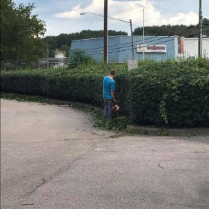 Photo of All American Lawn Service