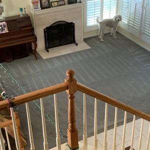 Photo of Brady's Carpet Care