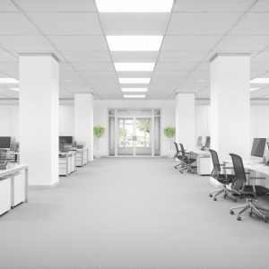 Photo of Moving Plus