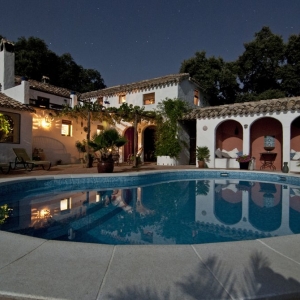 Photo of New Reality Real Estate