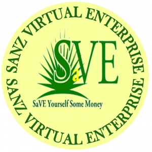 Photo of Sanz Virtual Enterprise