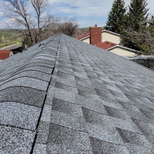 Photo of Native Roofing and Construction