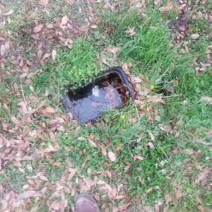 Photo of Johnny Rooter Plumbing