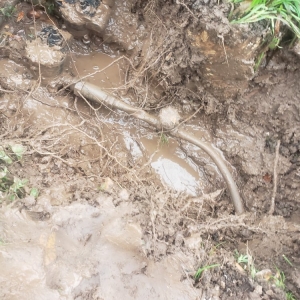 Photo of Johnny Rooter Plumbing