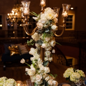 Photo of Johanna Terry Events