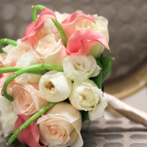 Photo of Johanna Terry Events