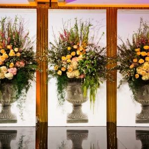 Photo of Johanna Terry Events