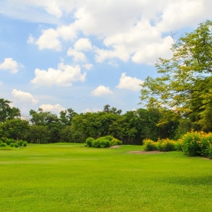 Photo of Steel Blades Landscaping