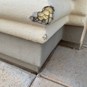 Photo of Stucco Repair Extraordinaire