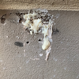 Photo of Stucco Repair Extraordinaire