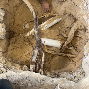 Photo of All American Plumbing