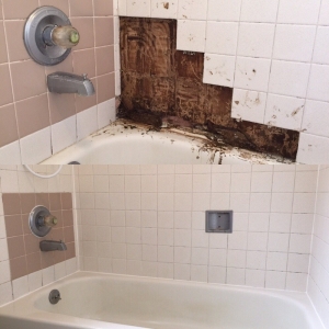 Photo of The Grout Expert