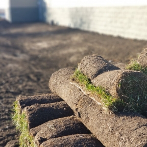 Photo of Whitfield's Lawn and Garden