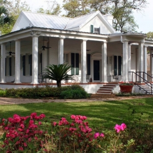 Photo of Palm Grove at Old South Plantation