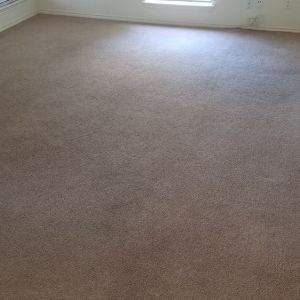 Photo of Klean Carpets
