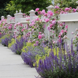 Nashville B & E Irrigation