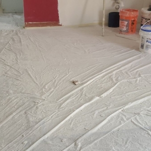 Photo of Economy House Painting