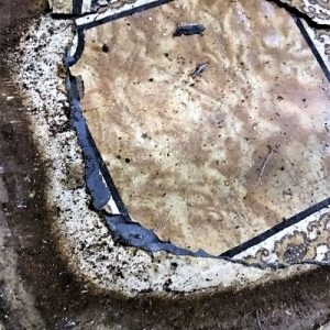 Photo of Flood Cleanup