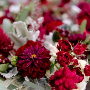 Photo of Austin Wedding Planners