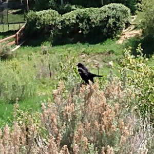 Photo of Swaner Preserve & EcoCenter