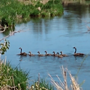 Photo of Swaner Preserve & EcoCenter