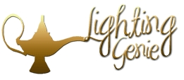 Photo of Lighting Genie
