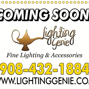 Photo of Lighting Genie