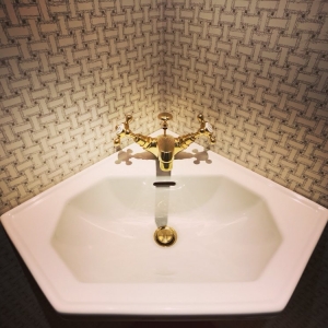Photo of 78 and Sunny Wallpapering