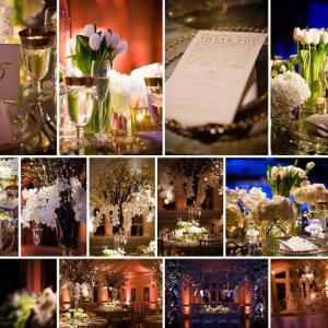 Photo of Amy Winters Events