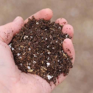 Watsonville Evergreen Supply
