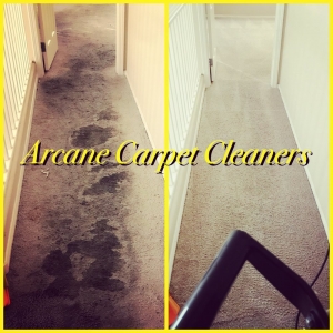 Photo of Arcane Carpet Cleaners