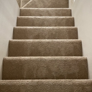 Photo of Arcane Carpet Cleaners