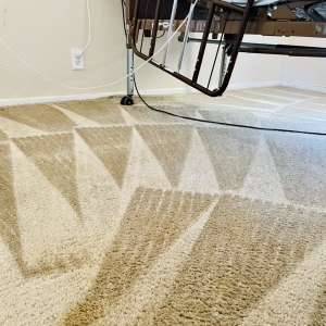 Photo of Arcane Carpet Cleaners