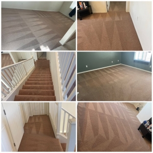 Photo of Arcane Carpet Cleaners