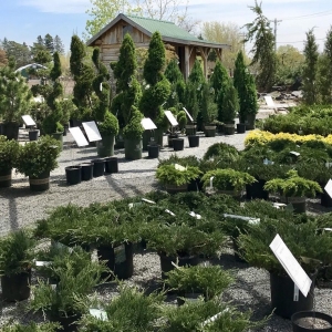 Photo of Otten Bros Garden Center & Landscaping