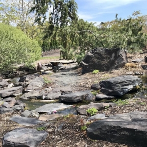 Photo of Otten Bros Garden Center & Landscaping