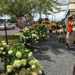 Photo of Otten Bros Garden Center & Landscaping