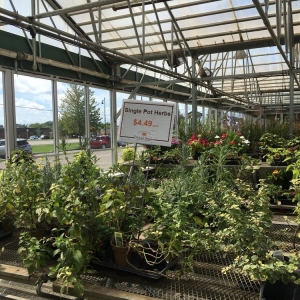 Photo of Otten Bros Garden Center & Landscaping