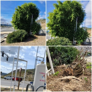 Photo of New Valley Landscaping Services